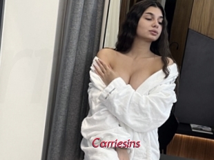 Carriesins