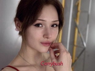Carrybush