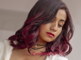 Catalinafox
