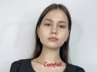 Catefelt