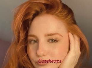 Cateheaps