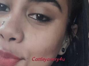 Cattleyasexy4u