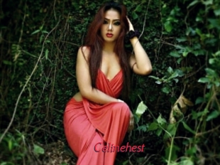 Celinehest