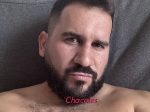 Chacales
