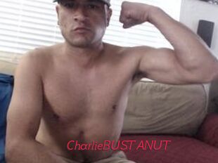 CharlieBUSTANUT