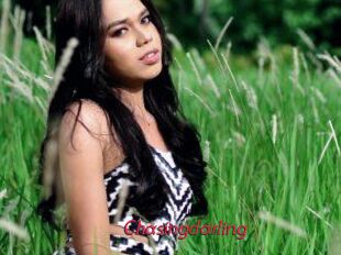 Chasingdarling