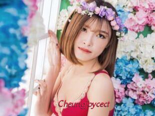 Cheungjoycect