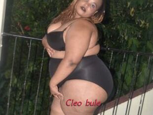 Cleo_bule