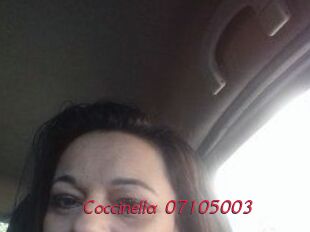 Coccinella-07105003