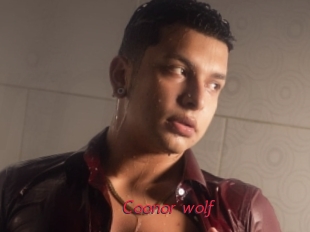 Coonor_wolf