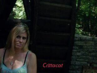 Crittacat