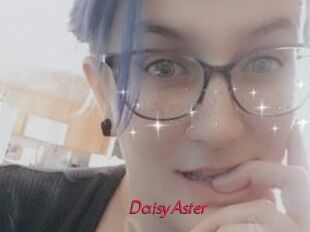 DaisyAster