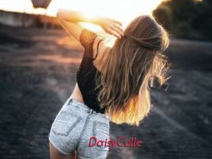 DaisyColle