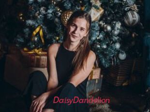 DaisyDandelion