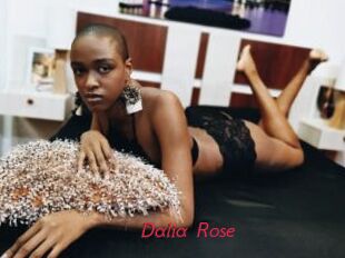 Dalia_Rose