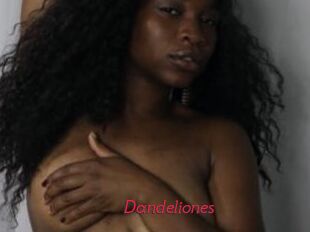 Dandeliones Red Movie Post