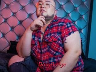 DanyBridge