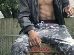Day1DOG
