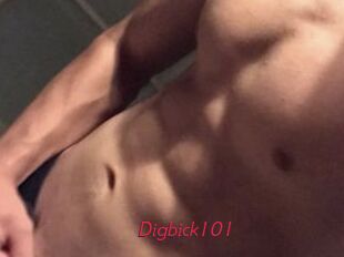 Digbick101