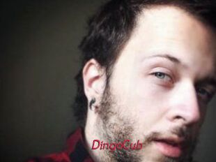 DingoCub