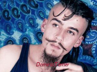 DominicTerrier