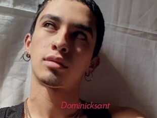Dominicksant