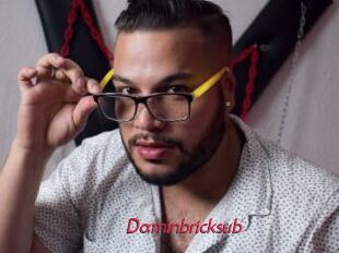 Daminbricksub