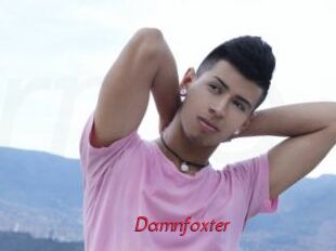 Damnfoxter