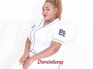 Dandelionq