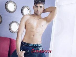 Daneil_torus