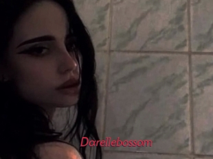 Darellebossom