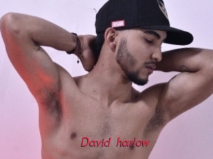 David_harlow