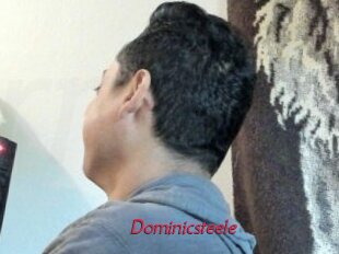 Dominicsteele