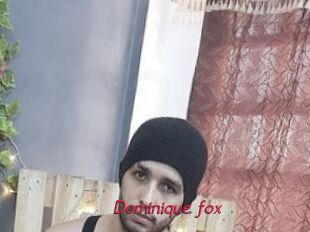 Dominique_fox