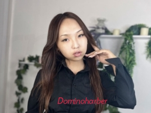 Dominoharber