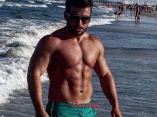 Domluc