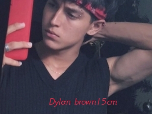 Dylan_brown15cm