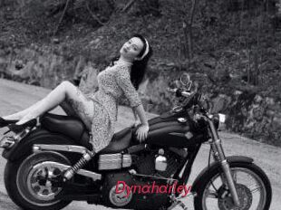 Dynaharley