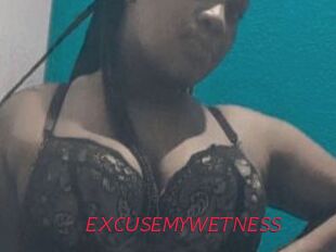 EXCUSEMYWETNESS