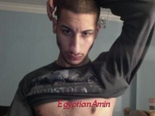 EgyptianAmin
