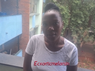 Ecxorticmelanin
