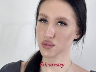 Edinaestey