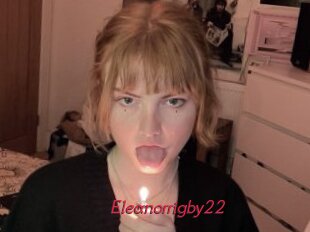 Eleanorrigby22