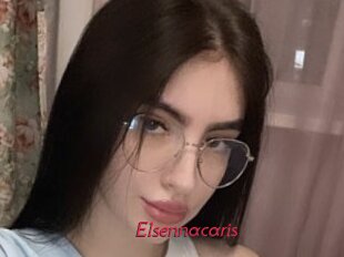 Elsennacaris