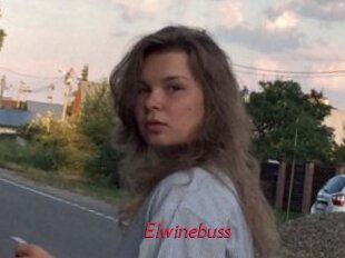 Elwinebuss