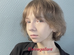 Elwinegallant