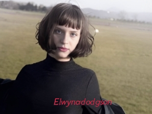 Elwynadodgson