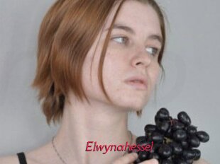 Elwynahessel