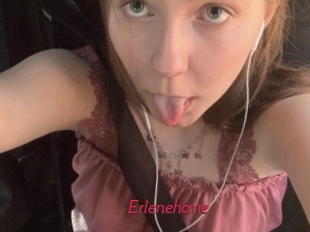 Erlenehane