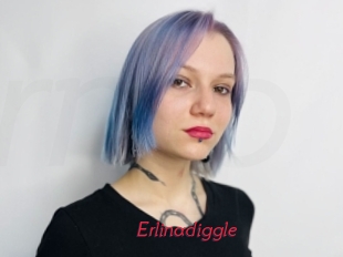 Erlinadiggle